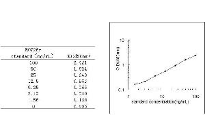 ELISA image for Transthyretin (TTR) ELISA Kit (ABIN579788)