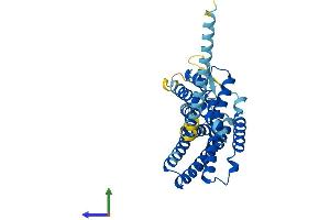 Protein Structure (PS) image for G Protein-Coupled Receptor 65 (GPR65) (AA 1-337) protein (His tag) (ABIN7557650)