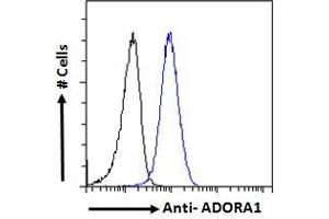 ABIN238564 Flow cytometric analysis of paraformaldehyde fixed HeLa cells (blue line), permeabilized with 0. (ADORA1 抗体  (C-Term))