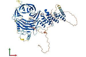 AlphaFold protein structure predicition of Human Recombinant WDPCP Protein, UniprotID O95876