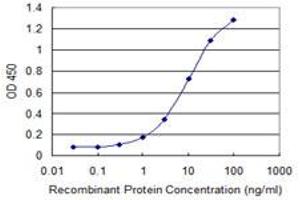 Detection limit for recombinant GST tagged VAC14 is 0. (VAC14 抗体  (AA 714-782))