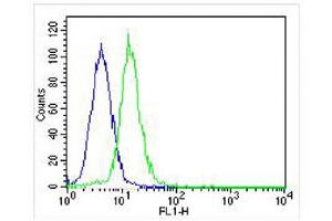 Overlay histogram showing Hela cells stained with (ABIN655391 and ABIN2844939) (green line). (KDM4C 抗体  (C-Term))