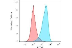 Flow Cytometric Analysis of paraformaldehyde-fixed Raji cells using CD45RB Rabbit Recombinant Monoclonal Antibody (PTPRC/2877R) followed by Goat anti-rabbitIgG-CF488 (Blue); Isotype Control (Red). (Recombinant CD45 抗体)