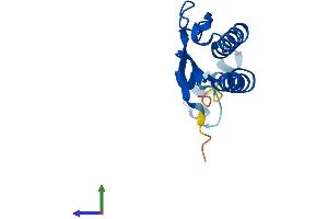 Protein Structure (PS) image for Golgin A7 (GOLGA7) (AA 1-137) protein (His tag) (ABIN7560012)