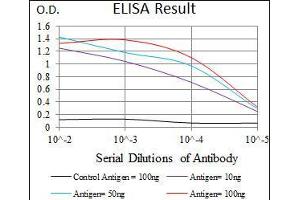 Black line: Control Antigen (100 ng), Purple line: Antigen(10 ng), Blue line: Antigen (50 ng), Red line: Antigen (100 ng), (C17orf53 抗体  (AA 282-527))