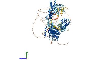 AlphaFold protein structure predicition of Mouse Recombinant Kdm5c Protein, UniprotID P41230