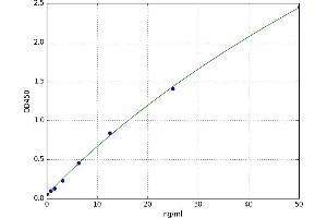 Free Prostate Specific Antigen (fPSA) ELISA Kit