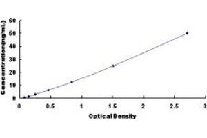 Typical standard curve (CA4 ELISA 试剂盒)