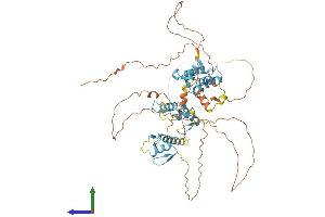 Protein Structure (PS) image for Zinc Finger Protein 496 (ZNF496) (AA 1-587) protein (His tag) (ABIN7545807)