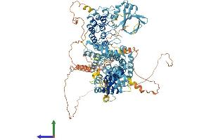 Protein Structure (PS) image for Ankyrin Repeat Domain 27 (VPS9 Domain) (ANKRD27) (AA 1-1050) protein (His tag) (ABIN7552188)
