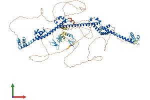 Protein Structure (PS) image for PRP40 Pre-mRNA Processing Factor 40 Homolog A (PRPF40A) (AA 1-957) protein (His tag) (ABIN7555056)