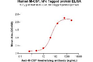 ELISA image for Colony Stimulating Factor 1 (Macrophage) (CSF1) (AA 33-255) protein (Fc Tag) (ABIN7092715)