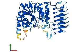 Protein Structure (PS) image for GDP-Mannose Pyrophosphorylase A (GMPPA) (AA 1-420) protein (His tag) (ABIN7547984)