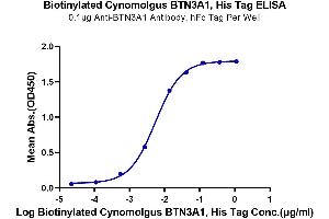 Butyrophilin, Subfamily 3, Member A1 (BTN3A1) (AA 1-219) protein (His-Avi Tag,Biotin)