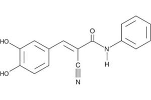 Chemical structure of AG 494 , a EGF receptor tyrosine kinase inhibitor.