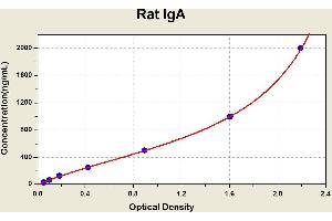 Diagramm of the ELISA kit to detect Rat 1 gAwith the optical density on the x-axis and the concentration on the y-axis. (IgA ELISA 试剂盒)