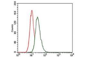 Flow cytometric analysis of HeLa cells using LRP5 mouse mAb (green) and negative control (red). (LRP5 抗体)