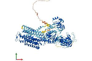 Protein Structure (PS) image for ATPase, Na+/K+ Transporting, alpha 4 Polypeptide (ATP1A4) (AA 1-1032) protein (His tag) (ABIN7565227)