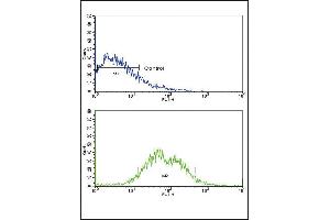 Flow Cytometry (FACS) image for anti-Activin A Receptor Type II-Like 1 (ACVRL1) (AA 38-68), (N-Term) antibody (ABIN392241)