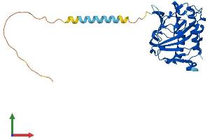 AlphaFold protein structure predicition of Mouse Recombinant Ogfod3 Protein, UniprotID Q9D136