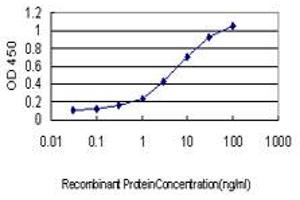Detection limit for recombinant GST tagged RGL1 is approximately 0. (RGL1 抗体  (AA 2-109))