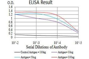 Black line: Control Antigen (100 ng);Purple line: Antigen (10ng); Blue line: Antigen (50 ng); Red line:Antigen (100 ng) (PELP1 抗体  (AA 1031-1180))