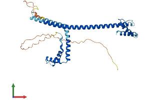 AlphaFold protein structure predicition of Human Recombinant HMG20B Protein, UniprotID Q9P0W2 (HMG20B Protein (AA 1-317) (His tag))