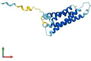 Protein Structure (PS) image for MARVEL Domain Containing 1 (MARVELD1) (AA 1-173) protein (His tag) (ABIN7549230)