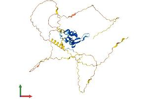 Protein Structure (PS) image for Forkhead Box D4-Like 1 (FOXD4L1) (AA 1-408) protein (His tag) (ABIN7547757)