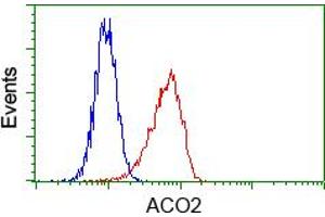 Image no. 3 for anti-Aconitase 2, Mitochondrial (ACO2) antibody (ABIN1496410) (ACO2 抗体)