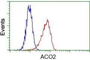 Image no. 3 for anti-Aconitase 2, Mitochondrial (ACO2) antibody (ABIN1496410)