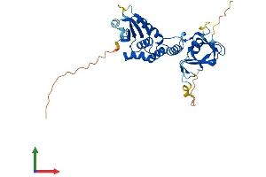 Protein Structure (PS) image for Dual Specificity Phosphatase 12 (DUSP12) (AA 1-340) protein (His tag) (ABIN7547264)