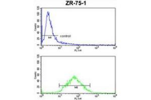 Flow cytometric analysis of ZR-75-1 cells (bottom histogram) compared to a negative control cell (top histogram) using PXMP4  Antibody , followed by FITC-conjugated goat-anti-rabbit secondary antibodies. (PXMP4 抗体  (Middle Region))