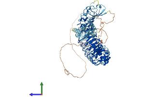 AlphaFold protein structure predicition of Mouse Recombinant Lrrd1 Protein, UniprotID Q8C0R9 (LRRD1 Protein (AA 1-853) (His tag))
