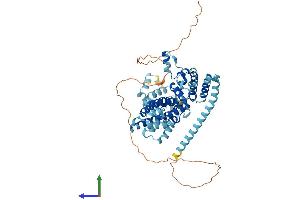 Protein Structure (PS) image for NOP56 Ribonucleoprotein Homolog (NOP56) (AA 1-580) protein (His tag) (ABIN7561060)