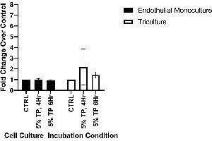 CLDN3 protein expression following a 4- or 6-hour incubation with 5% plasma from severely injured patients. (Claudin 3 ELISA 试剂盒)