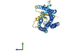 Protein Structure (PS) image for Olfactory Receptor, Family 2, Subfamily C, Member 1 (OR2C1) (AA 1-312) protein (His tag) (ABIN7550454)