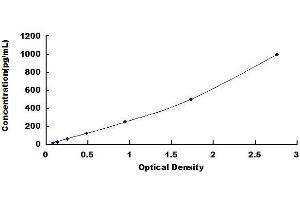 Typical standard curve