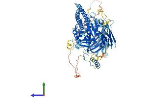 Protein Structure (PS) image for Bardet-Biedl Syndrome 9 (BBS9) (AA 1-885) protein (His tag) (ABIN7564316)
