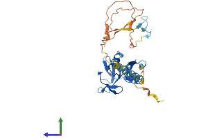 Protein Structure (PS) image for C-Type Lectin Domain Family 2, Member G (CLEC2G) (AA 1-269) protein (His tag) (ABIN7561036)