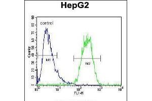 Flow cytometric analysis of HepG2 cells (right histogram) compared to a negative control cell (left histogram). (SEC13 抗体  (AA 72-100))