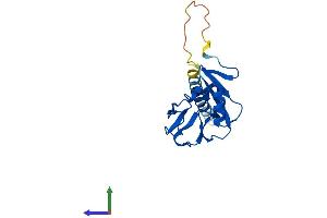 Protein Structure (PS) image for Killer Cell Lectin-Like Receptor Subfamily D, Member 1 (KLRD1) (AA 1-179) protein (His tag) (ABIN7548828)