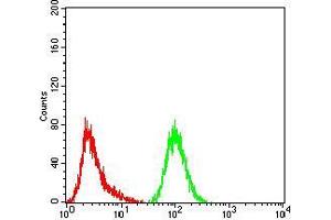 Flow Cytometry (FACS) image for anti-Glutamine--Fructose-6-Phosphate Transaminase 1 (GFPT1) (AA 536-681) antibody (ABIN5542686)