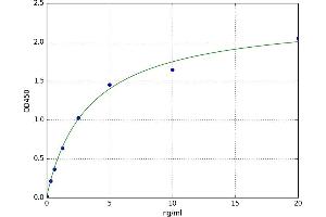 A typical standard curve