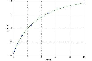 A typical standard curve