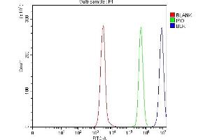 Flow Cytometry analysis of Daudi cells using anti-BLK antibody (ABIN7601971). (BLK 抗体  (AA 53-184))