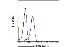 Flow Cytometry (FACS) image for anti-Acetylcholinesterase (AChE) (C-Term) antibody (ABIN185357)