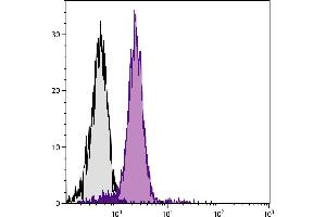 BALB/c mouse splenocytes were stained with Rat Anti-Mouse CD31-BIOT. (CD31 抗体  (Biotin))