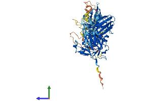 Protein Structure (PS) image for Calpain 10 (CAPN10) (AA 1-672) protein (His tag) (ABIN7552834)