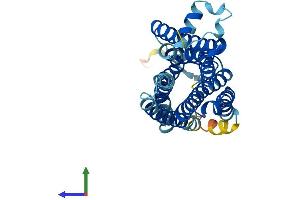 AlphaFold protein structure predicition of Mouse Recombinant Taar5 Protein, UniprotID Q5QD14